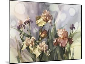 Hadfield Irises V-Clif Hadfield-Mounted Art Print