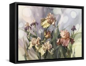 Hadfield Irises V-Clif Hadfield-Framed Stretched Canvas