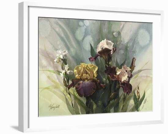 Hadfield Irises VI-Clif Hadfield-Framed Art Print