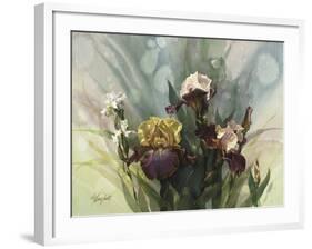 Hadfield Irises VI-Clif Hadfield-Framed Art Print