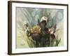 Hadfield Irises VI-Clif Hadfield-Framed Art Print