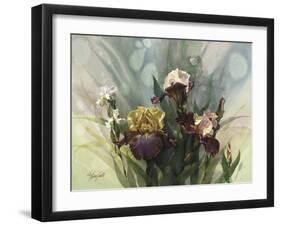 Hadfield Irises VI-Clif Hadfield-Framed Art Print