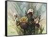 Hadfield Irises VI-Clif Hadfield-Framed Stretched Canvas