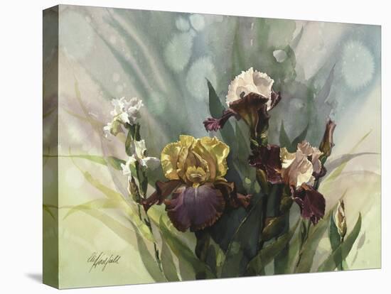 Hadfield Irises VI-Clif Hadfield-Stretched Canvas