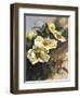 Hadfield Roses I-Clif Hadfield-Framed Art Print