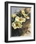 Hadfield Roses I-Clif Hadfield-Framed Art Print