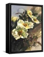 Hadfield Roses I-Clif Hadfield-Framed Stretched Canvas