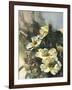 Hadfield Roses II-Clif Hadfield-Framed Art Print