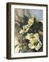 Hadfield Roses II-Clif Hadfield-Framed Art Print