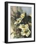 Hadfield Roses II-Clif Hadfield-Framed Art Print