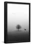 Essential Black