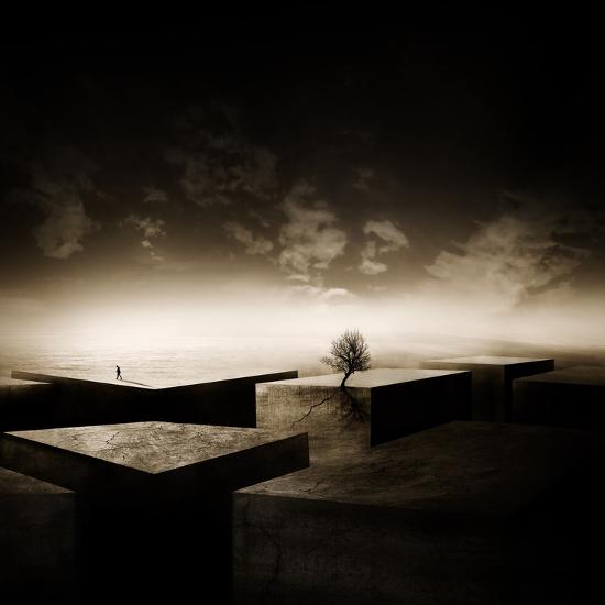 Photographic Print, , large