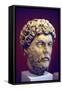 Hadrian (76-13), Roman Marble Bust-null-Framed Stretched Canvas