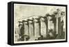 Hadrian's Portico-null-Framed Stretched Canvas