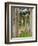 Hadrian's Villa, Canopus Canal, Tivoli, Lazio, Italy, Europe-Nedra Westwater-Framed Photographic Print