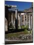 Hadrian's Villa. Maritime Theatre, Italy-null-Mounted Giclee Print