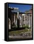 Hadrian's Villa. Maritime Theatre, Italy-null-Framed Stretched Canvas