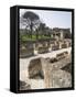 Hadrian's Villa, UNESCO World Heritage Site, Tivoli, Near Rome, Lazio, Italy, Europe-Olivieri Oliviero-Framed Stretched Canvas