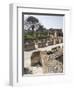 Hadrian's Villa, UNESCO World Heritage Site, Tivoli, Near Rome, Lazio, Italy, Europe-Olivieri Oliviero-Framed Photographic Print