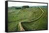 Hadrian's Wall, Looking East to Cuddy's Crag, Northumberland, c20th century-CM Dixon-Framed Stretched Canvas