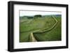 Hadrian's Wall, Looking East to Cuddy's Crag, Northumberland, c20th century-CM Dixon-Framed Photographic Print