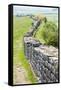 Hadrian's Wall, Northumberland, England-phbcz-Framed Stretched Canvas