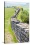 Hadrian's Wall, Northumberland, England-phbcz-Stretched Canvas