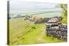 Hadrian's Wall, Northumberland, England-phbcz-Stretched Canvas