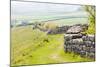 Hadrian's Wall, Northumberland, England-phbcz-Mounted Photographic Print