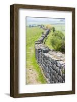 Hadrian's Wall, Northumberland, England-phbcz-Framed Photographic Print