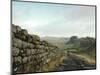 Hadrian's Wall, Towards Crag Lough, Northumberland England, UK-Adam Woolfitt-Mounted Photographic Print