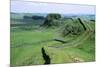 Hadrian's Wall-null-Mounted Photographic Print