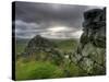 Hadrians Wall, Northumberland, UK-Alan Copson-Stretched Canvas