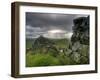 Hadrians Wall, Northumberland, UK-Alan Copson-Framed Photographic Print