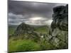 Hadrians Wall, Northumberland, UK-Alan Copson-Mounted Photographic Print