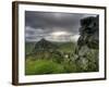 Hadrians Wall, Northumberland, UK-Alan Copson-Framed Photographic Print