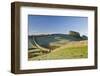 Hadrians Wall with Civilian Gate, a Unique Feature, and Housesteads Fort, Northumbria, England-James Emmerson-Framed Photographic Print