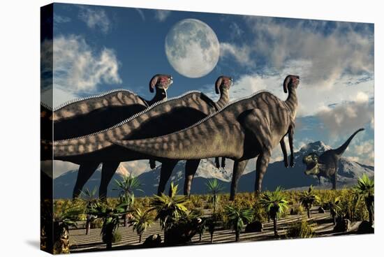 Hadrosaurid Duckbill Dinosaurs Use Soundwaves to Defend a Tyrannosaurus Rex-null-Stretched Canvas