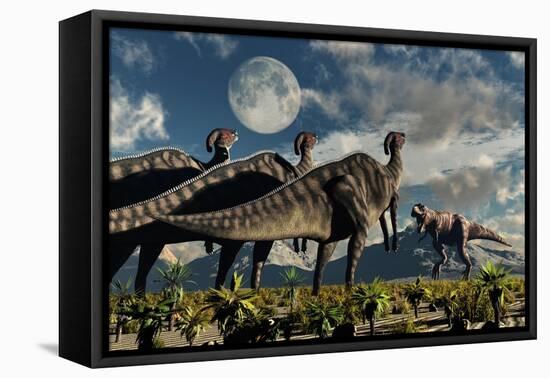 Hadrosaurid Duckbill Dinosaurs Use Soundwaves to Defend a Tyrannosaurus Rex-null-Framed Stretched Canvas