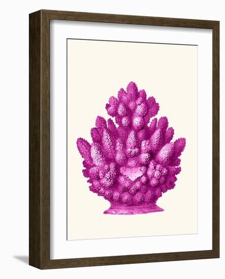 Haeckel Hexacoralla Coral Pink-Fab Funky-Framed Art Print