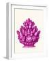 Haeckel Hexacoralla Coral Pink-Fab Funky-Framed Art Print