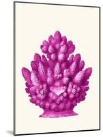 Haeckel Hexacoralla Coral Pink-Fab Funky-Mounted Art Print