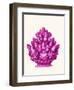 Haeckel Hexacoralla Coral Pink-Fab Funky-Framed Art Print