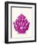 Haeckel Hexacoralla Coral Pink-Fab Funky-Framed Art Print