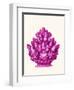 Haeckel Hexacoralla Coral Pink-Fab Funky-Framed Art Print