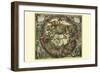 Haemisphaerium Sceno Graphicum Australe-Andreas Cellarius-Framed Art Print