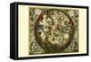 Haemisphaerium Stellatum Australe Aequali-Andreas Cellarius-Framed Stretched Canvas