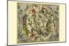 Haemisphaerium Stellatum Australe Antiquum-Andreas Cellarius-Mounted Art Print