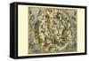 Haemisphaerium Stellatum Australe Antiquum-Andreas Cellarius-Framed Stretched Canvas