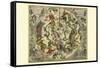 Haemisphaerium Stellatum Australe Antiquum-Andreas Cellarius-Framed Stretched Canvas